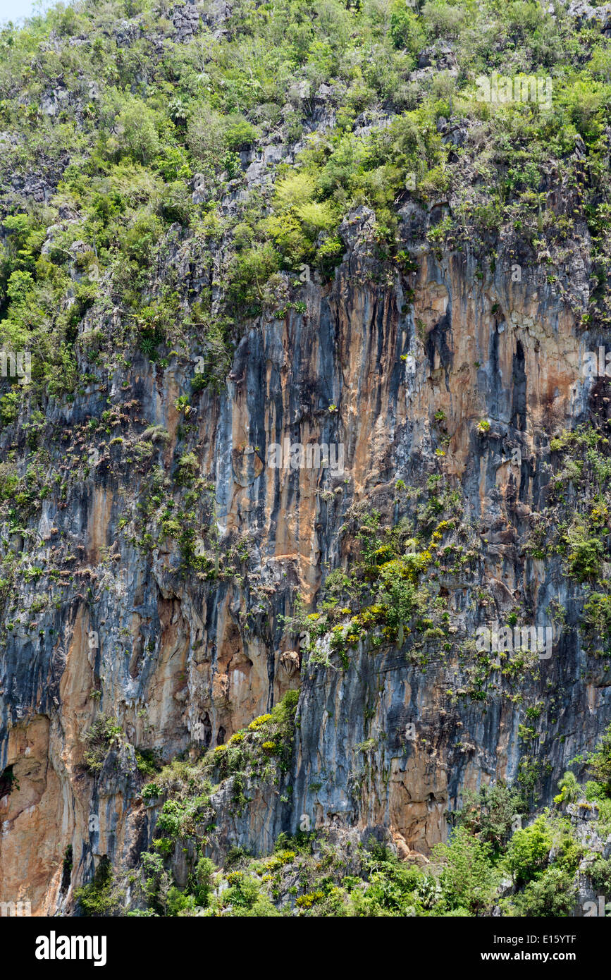 Famoso mogotes paesaggio carsico in Vinales Parco Nazionale. UNESCO - Sito Patrimonio dell'umanità. Foto Stock