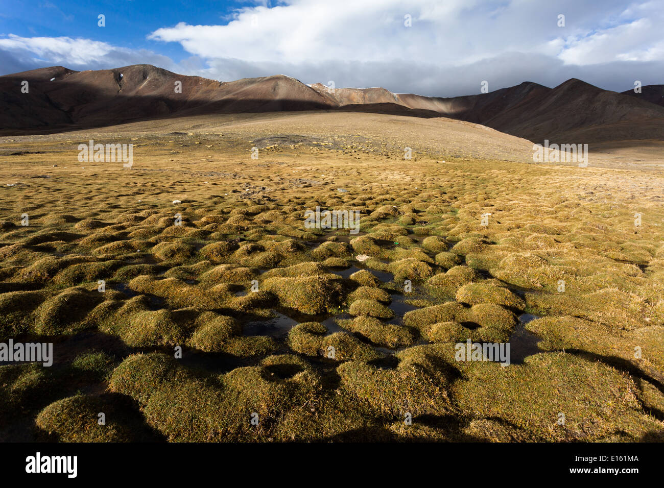 Paesaggio nella regione di Tisaling situato sul sentiero tra Rumtse e Tso Kar, Ladakh, Jammu e Kashmir India Foto Stock