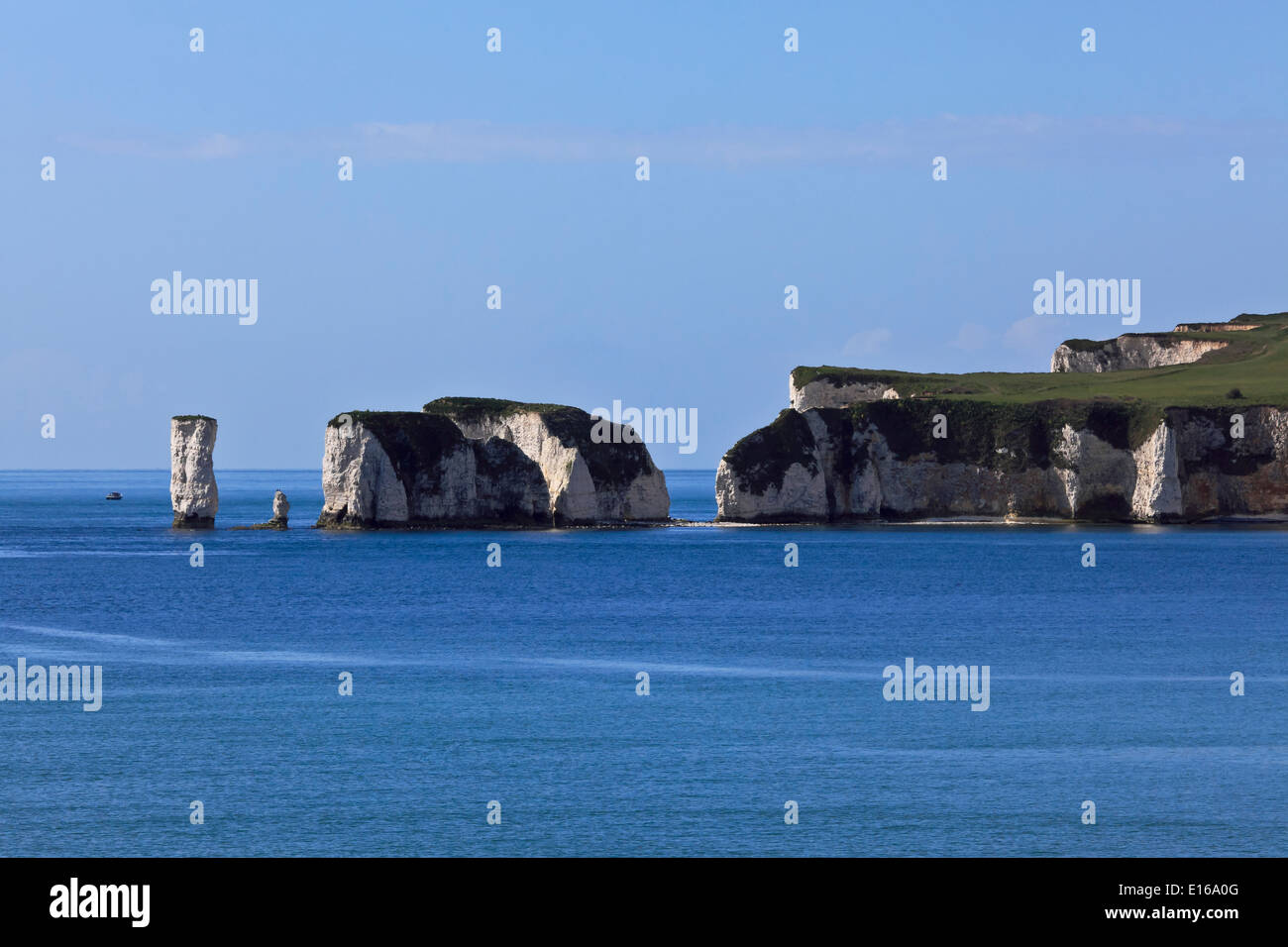 9223. Old Harry Rocks, Isle of Purbeck, Dorset, Regno Unito, Europa Foto Stock
