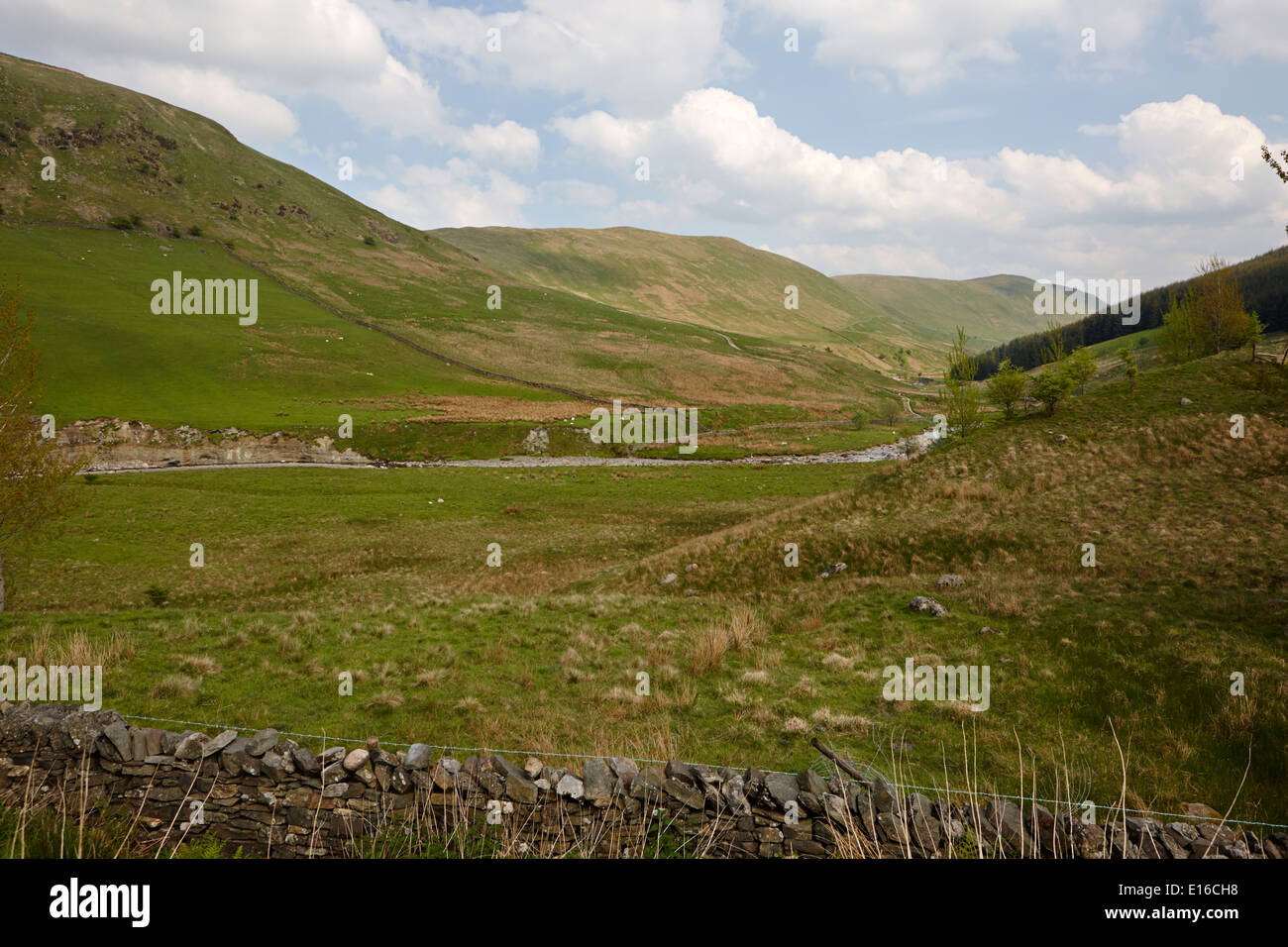 The Borrowdale valley Cumbria Regno Unito Foto Stock