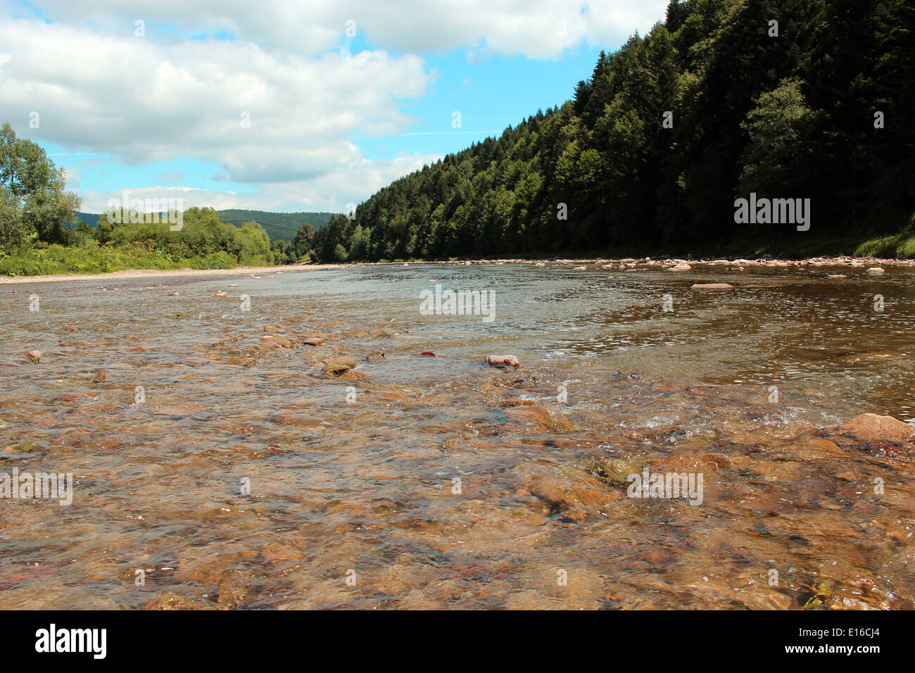Bellissimo paesaggio con la velocità di acqua nel fiume di montagna Foto Stock