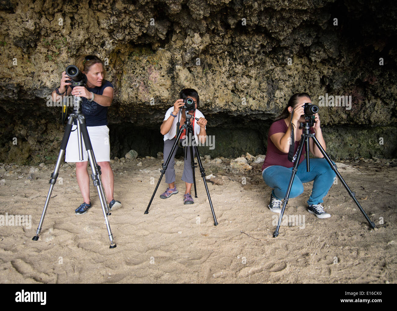 Gli studenti di fotografia utilizzando cavalletti Foto Stock