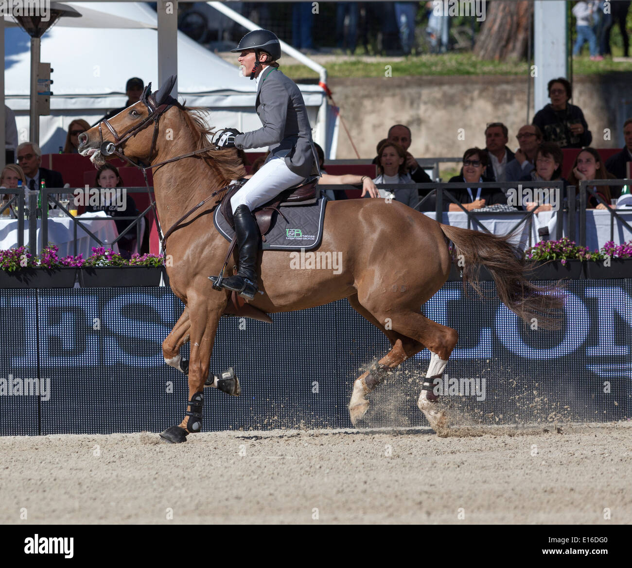Henrik Von Eckermann per la Svezia sul cavallo Gotha in Piazza di Siena 2013 , Roma, Italia. 5/26/13 Foto Stock
