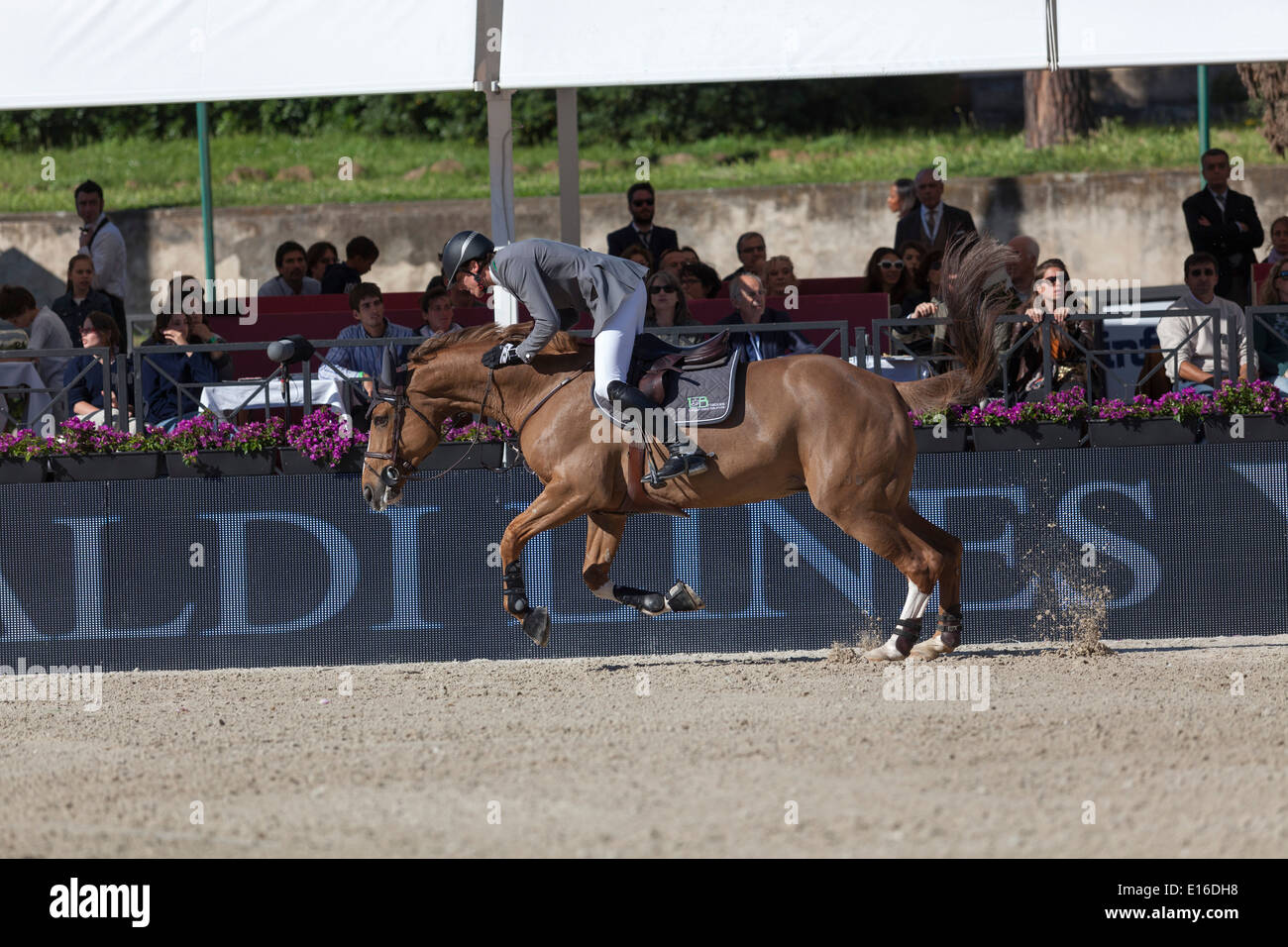 Henrik Von Eckermann per la Svezia sul cavallo Gotha in Piazza di Siena 2013 , Roma, Italia. 5/26/13 Foto Stock