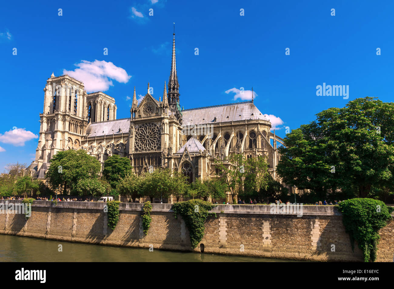 La facciata meridionale della Cattedrale di Notre Dame de Paris Foto Stock
