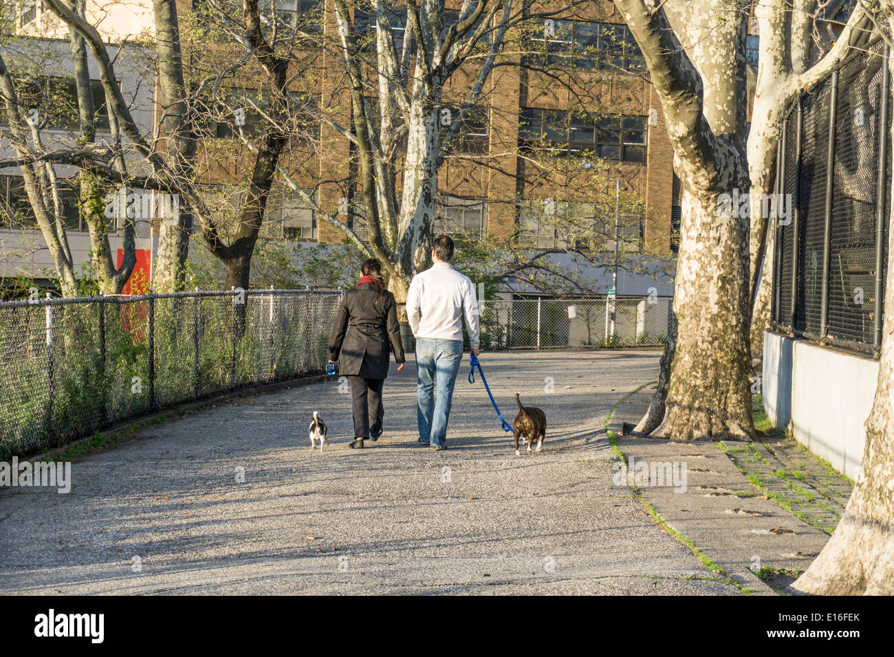 Coppia giovane pochi cani sul sentiero di ghiaia sulla gelida serata primaverile in DeWitt Clinton park Hells Kitchen Manhattan Foto Stock