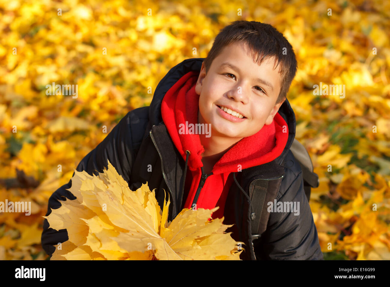 Sorridenti caucasian boy con autunno foglie di acero in una giornata di sole nel parco Foto Stock