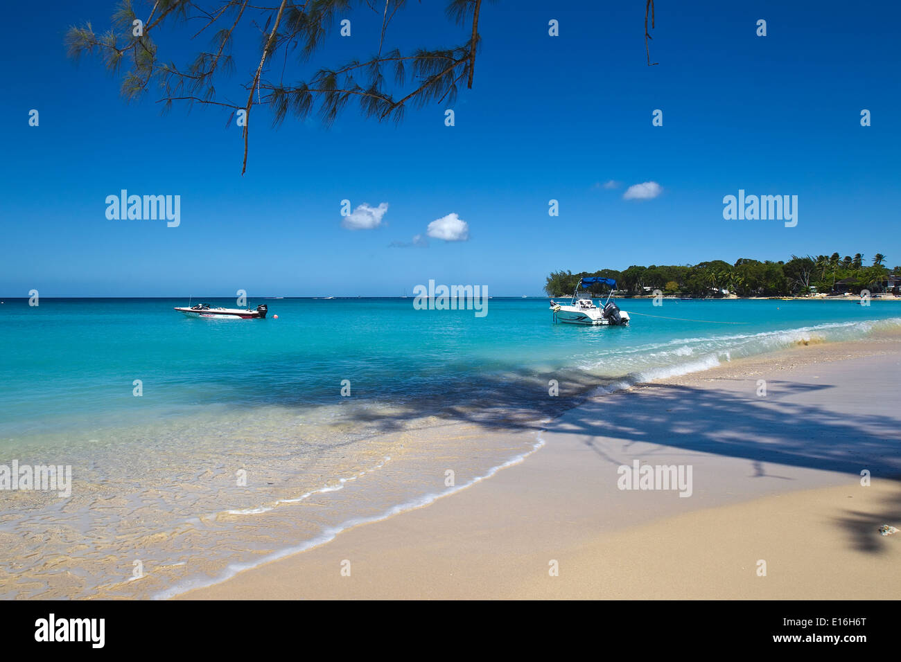 St James, costa Ovest, Barbados, Caraibi, West Indies Foto Stock