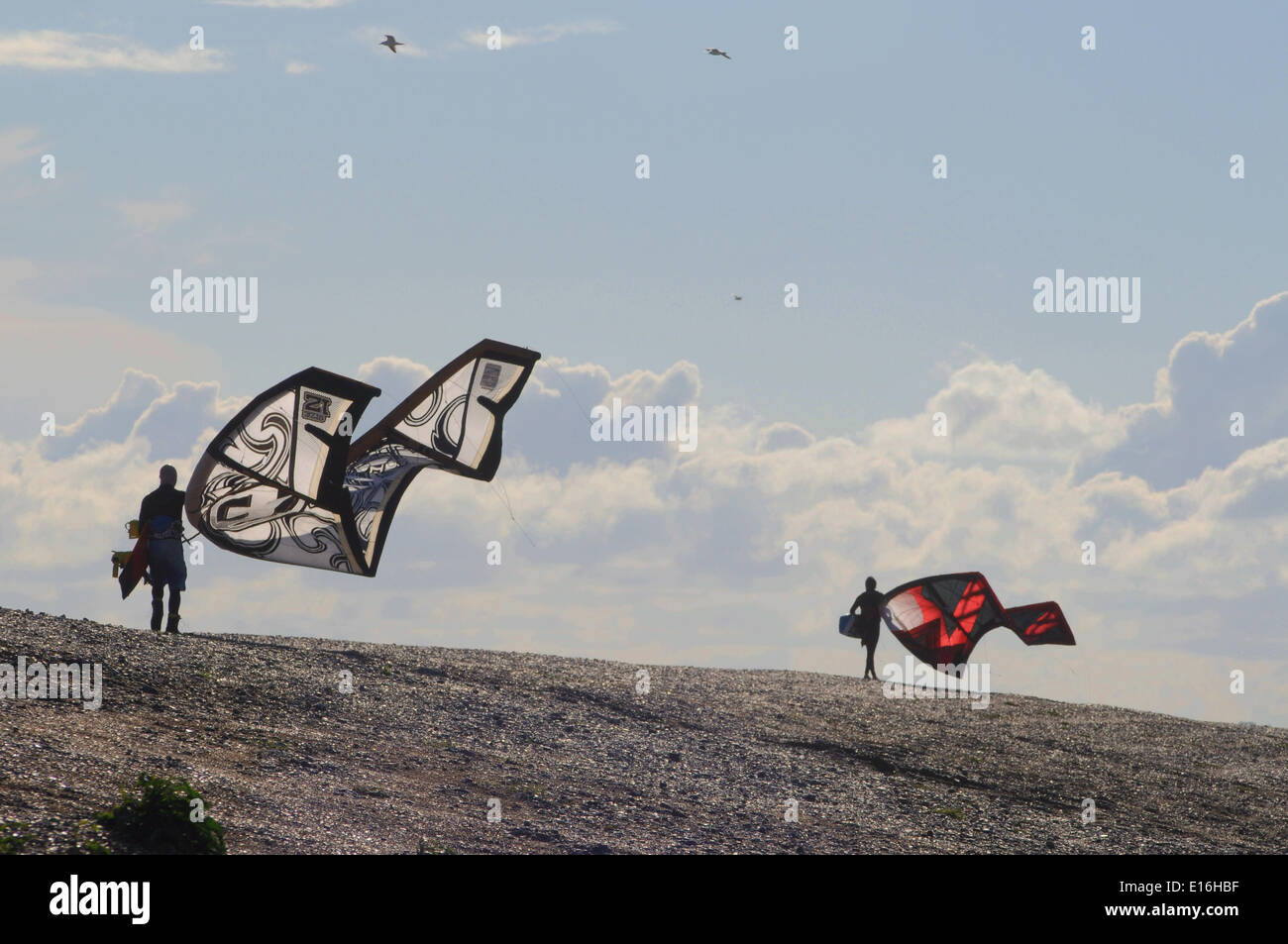 Camber Sands, East Sussex, Regno Unito.24 Maggio 2014.Un luminoso molto ariosi pomeriggio sulla costa sud rende perfetto per il kite surf condizioni. Quando viene eseguito il loro aspetto come farfalle giganti.David Burr/Alamy Live News Foto Stock