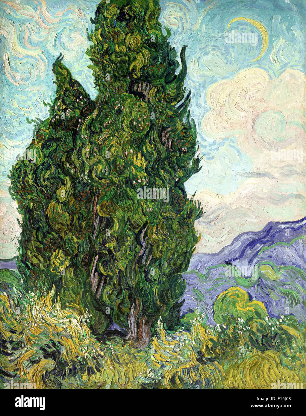 Cipressi di Vincent Van Gogh, 1889 Foto Stock