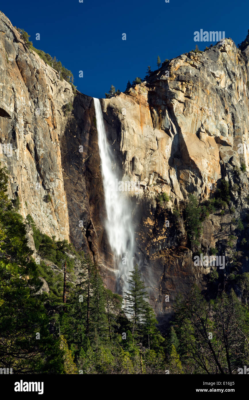 CALIFORNIA - Bridalveil rientrano nella Yosemite Valley area del Parco Nazionale di Yosemite. Foto Stock