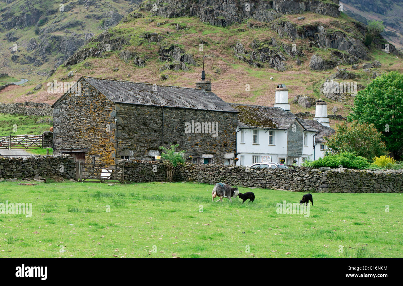 Caduto il piede Farm, poco Langdale, Lake District, Cumbria, England, Regno Unito Foto Stock