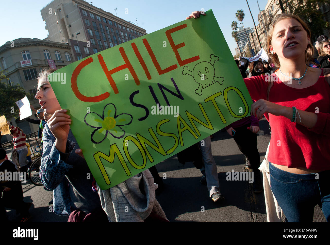 Santiago del Cile. Xxiv Maggio, 2014. Le persone prendono parte a una manifestazione di protesta a Santiago, capitale del Cile, il 24 maggio 2014. Attivisti provenienti da tutto il mondo si sono stretti sabato durante una protesta globale giornata contro la pianta transgenica società Monsanto, chiedendo il sostegno agli agricoltori locali e la protezione della catena alimentare. © Jorge Villegas/Xinhua/Alamy Live News Foto Stock