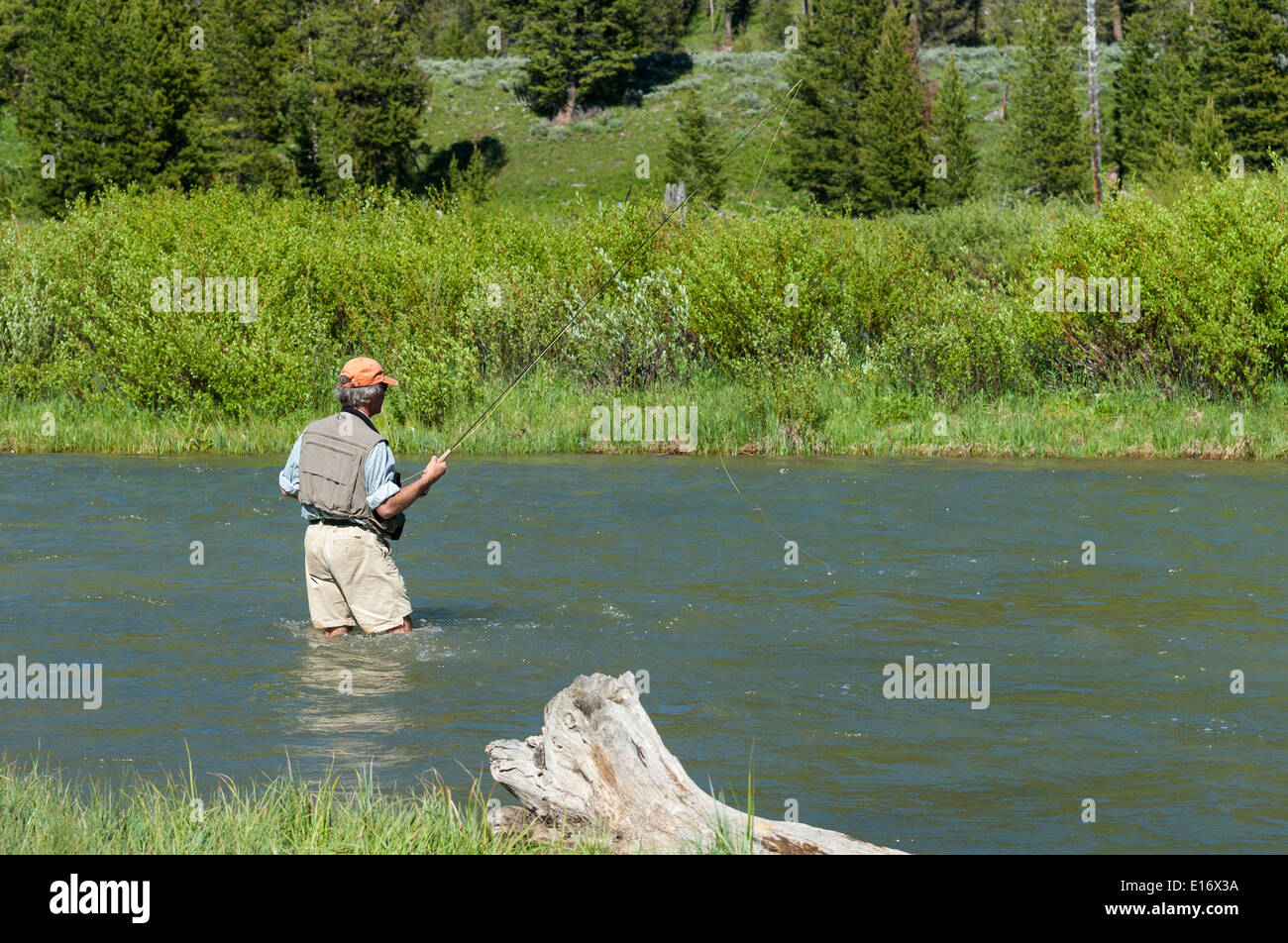 Montana, Madison River, pescatore a mosca la pesca Foto Stock