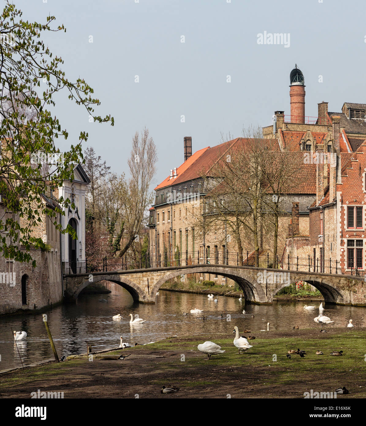 Il romantico Minnewater parco nel cuore della famosa città di Bruges con l ingresso del beguinage medievale. Foto Stock
