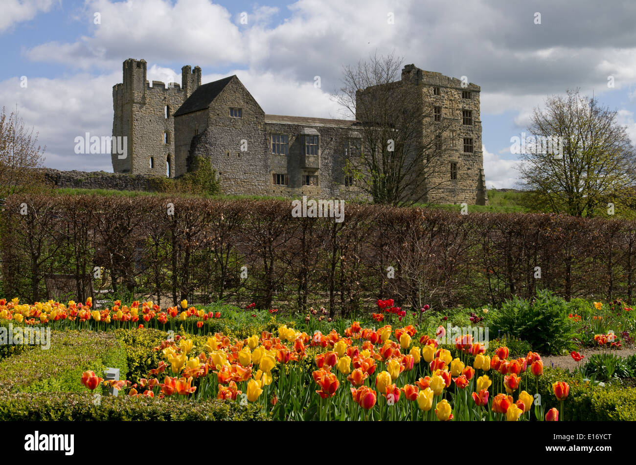 Helmsley Walled Garden con il Castello di Helmsley in background Foto Stock
