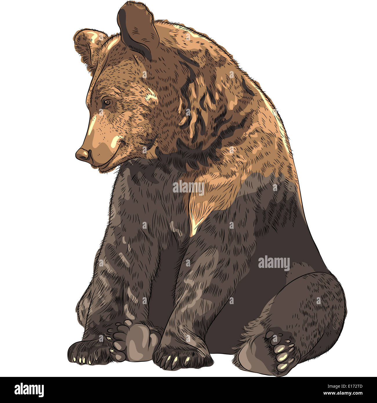 Funny cartoon bear seduto e sorridente Foto Stock