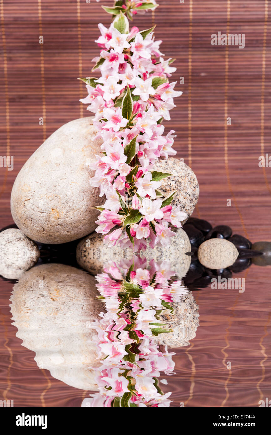 Concetto di spa con pietre zen sull'acqua, fiori e bambù Foto Stock