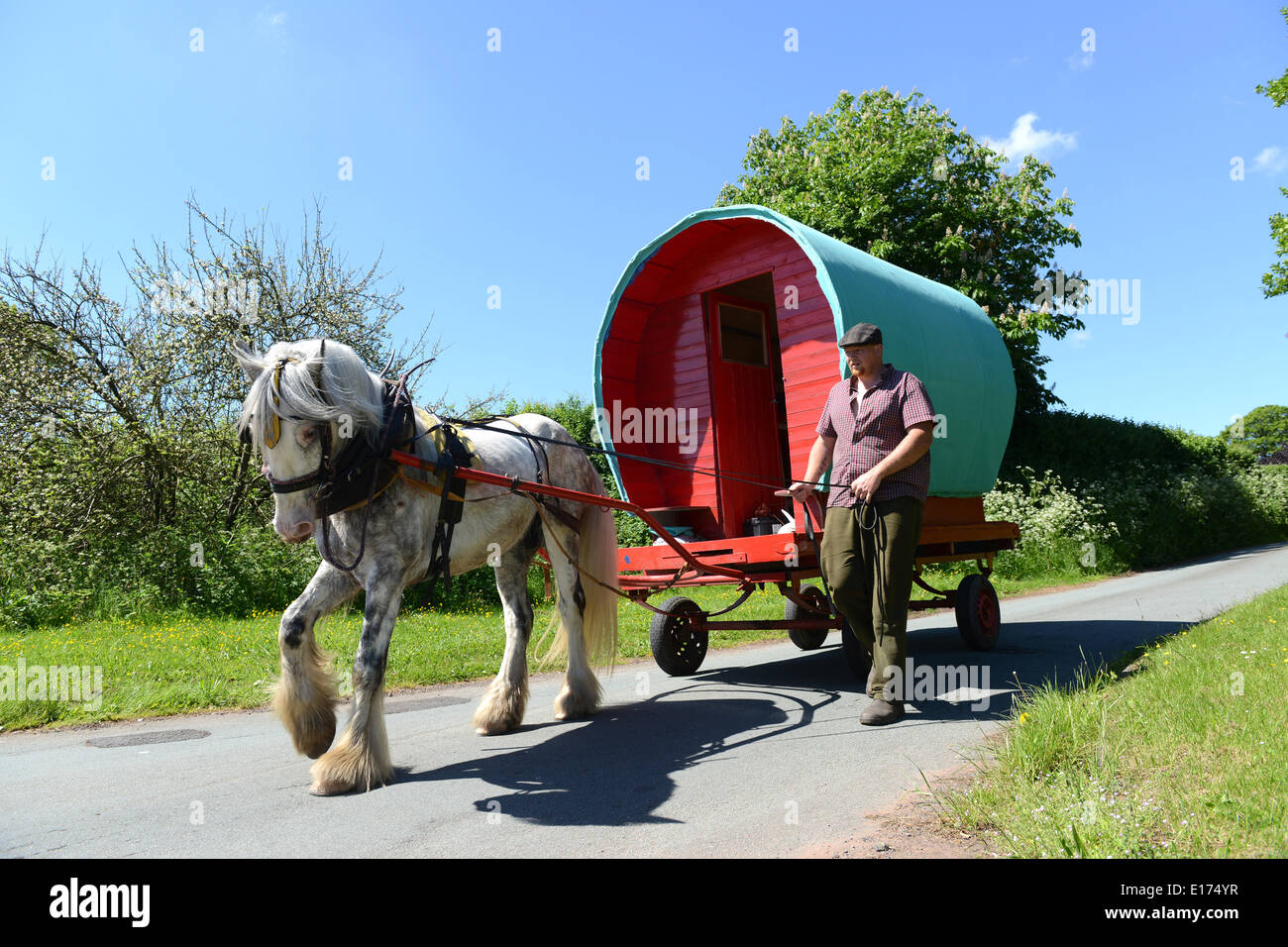 Black Country Traveller Chris Millard, 26 anni, sulla strada per Appleby Horse Fair con la sua carovana di ciotola tirata dal suo cavallo di nome Miles. West Midlands Regno Unito. Romany comunità viaggiatori cavalli vagone Gran Bretagna uomo maschio paese vicolo FOTO DI DAVE BAGNALL Foto Stock