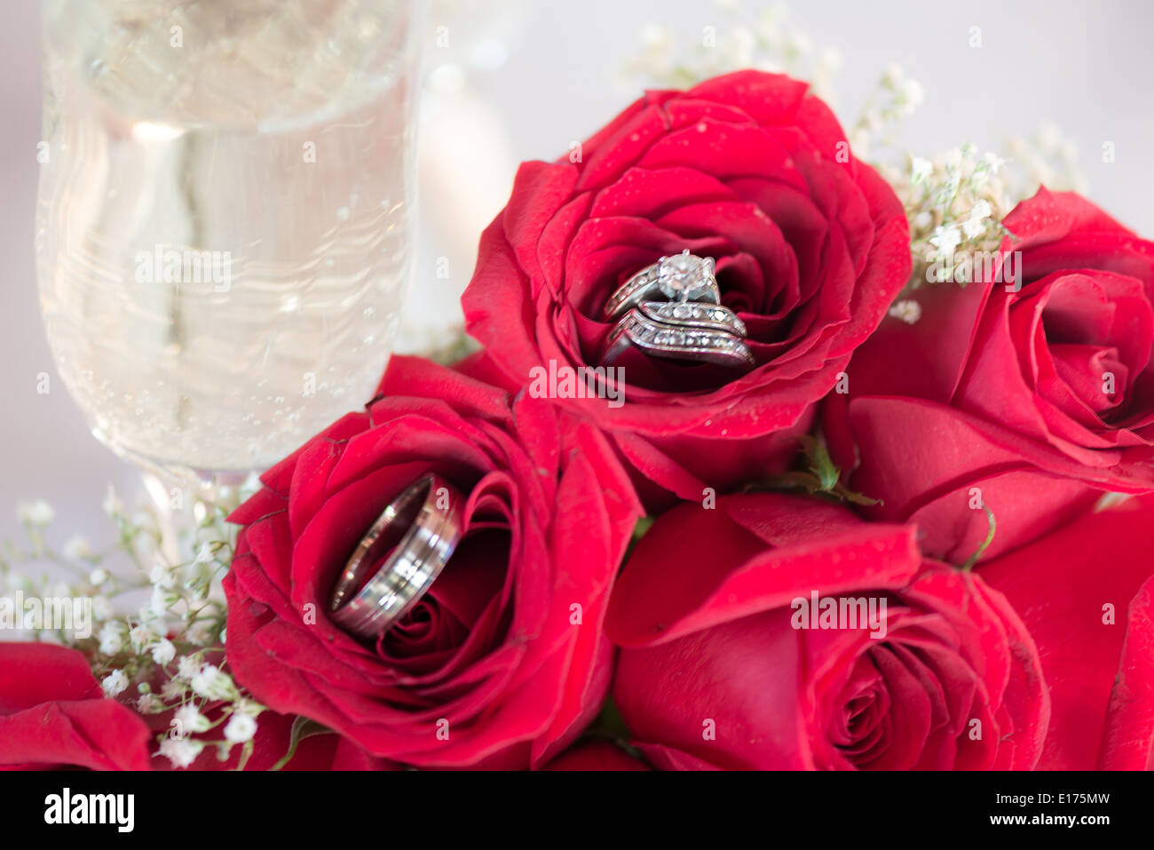 Mazzo di rose con anelli Foto stock - Alamy