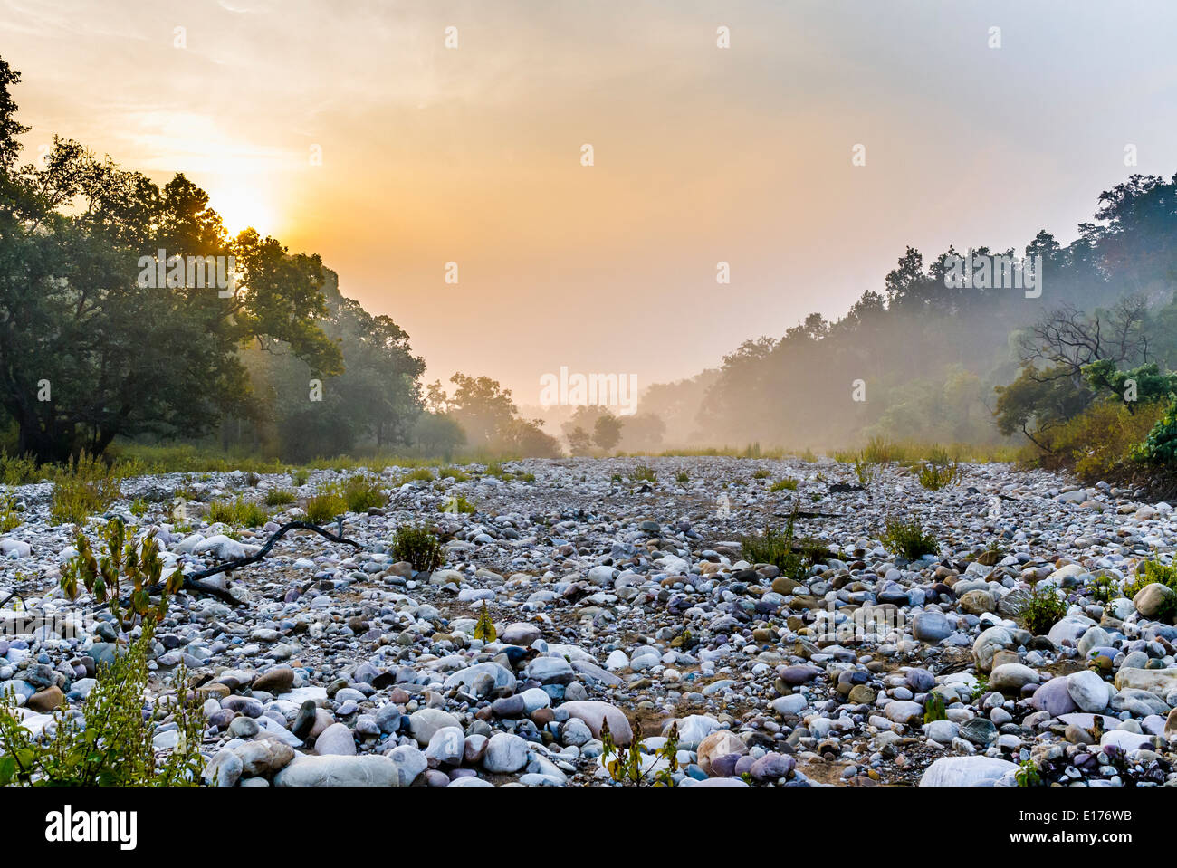 Una vista panoramica in inverni a Jim Corbett National Park, India. Foto Stock