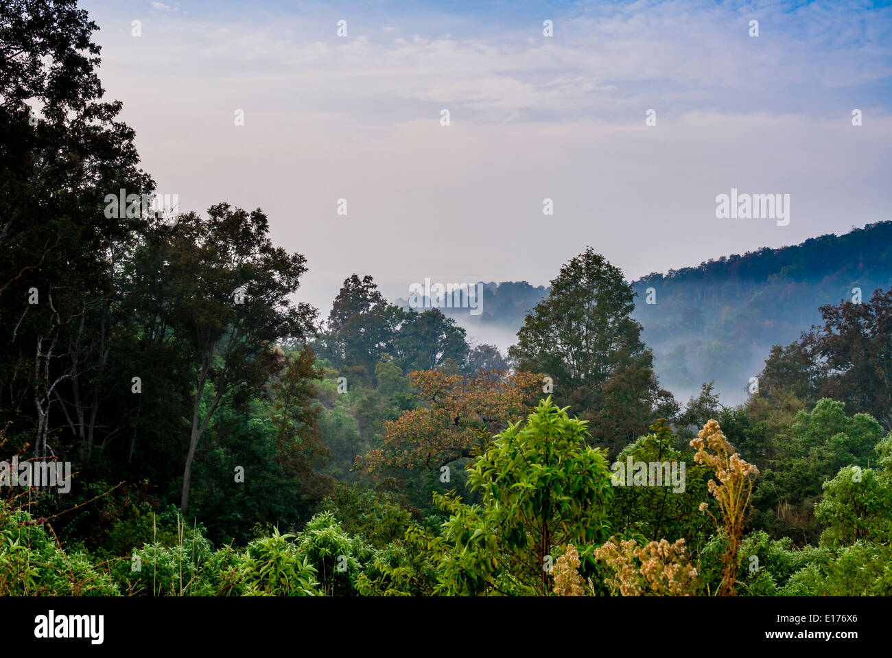 Una vista panoramica in inverni a Jim Corbett National Park, India. Foto Stock