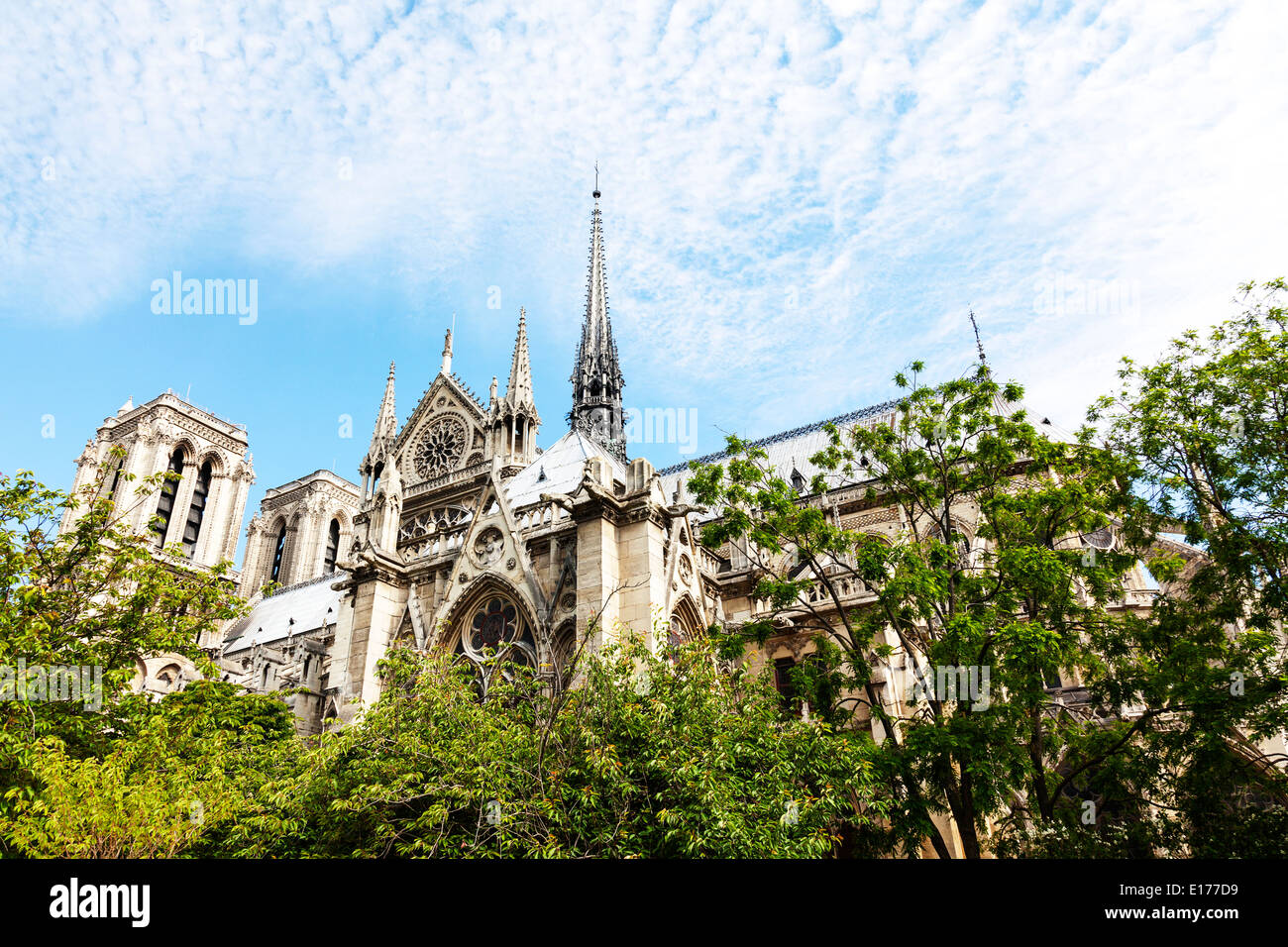 Notre Dame de Paris; la cathédrale Notre-dame de Paris city europa destinazione europea Foto Stock