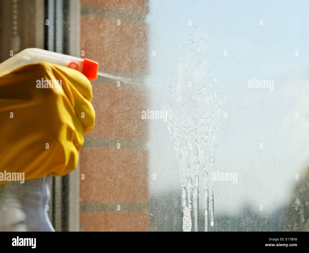 La finestra di pulizia vetro - soluzione saponosa getto dalla bomboletta spray Foto Stock