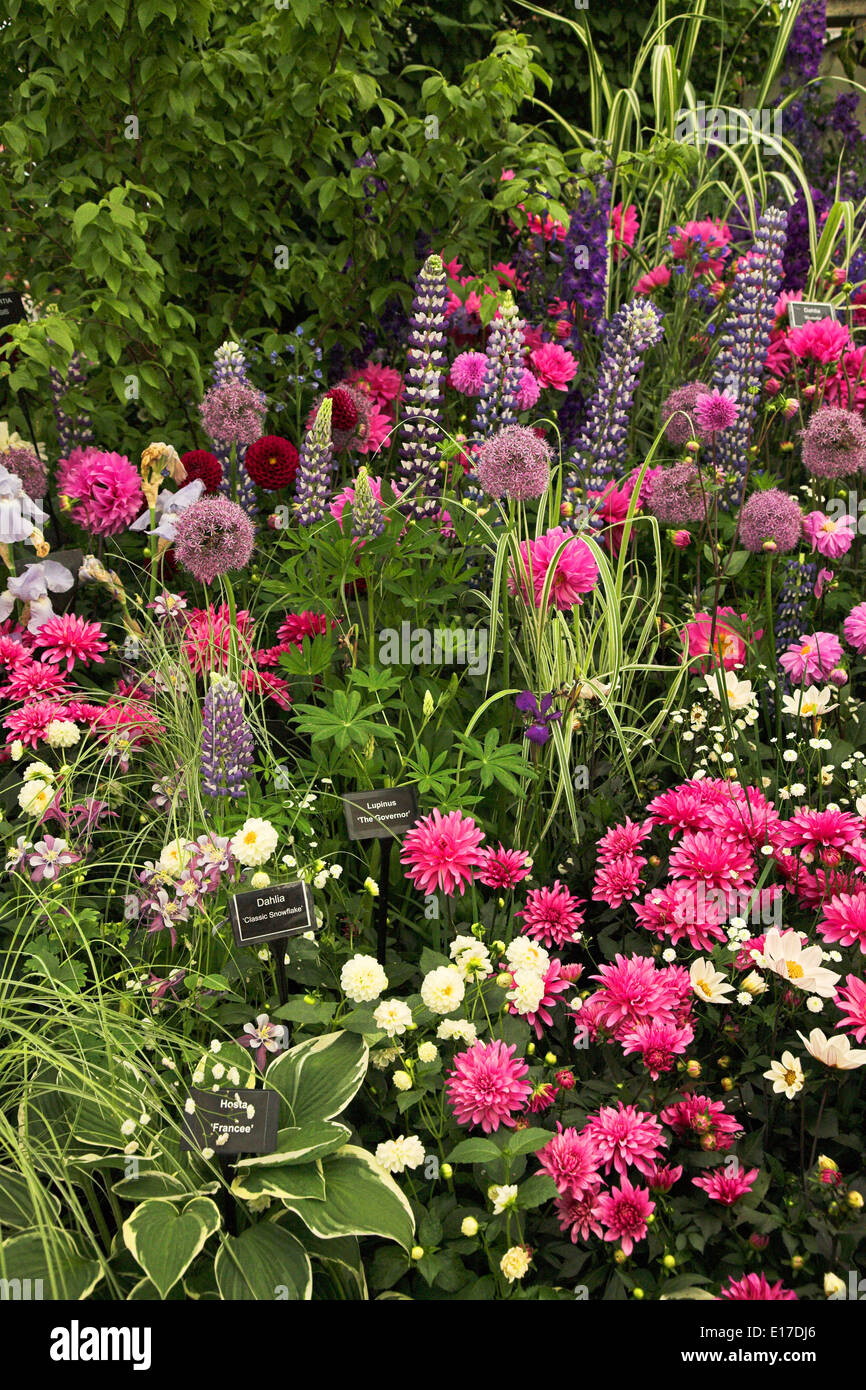 Chelsea Flower Show 2014 Foto Stock