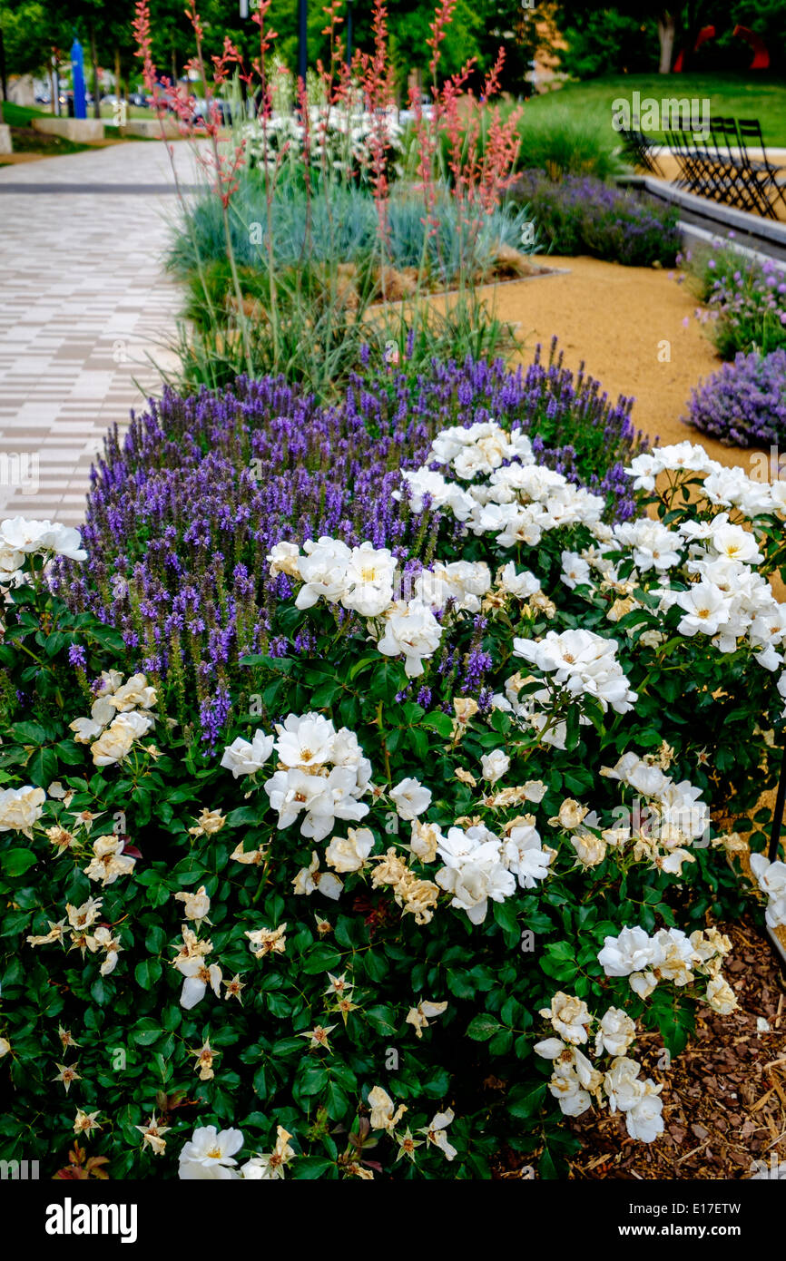 Un percorso attraverso la miriade di Giardini Botanici con fiori nel centro cittadino di Oklahoma City, Oklahoma, Stati Uniti d'America, al Reno e Robinson. Foto Stock