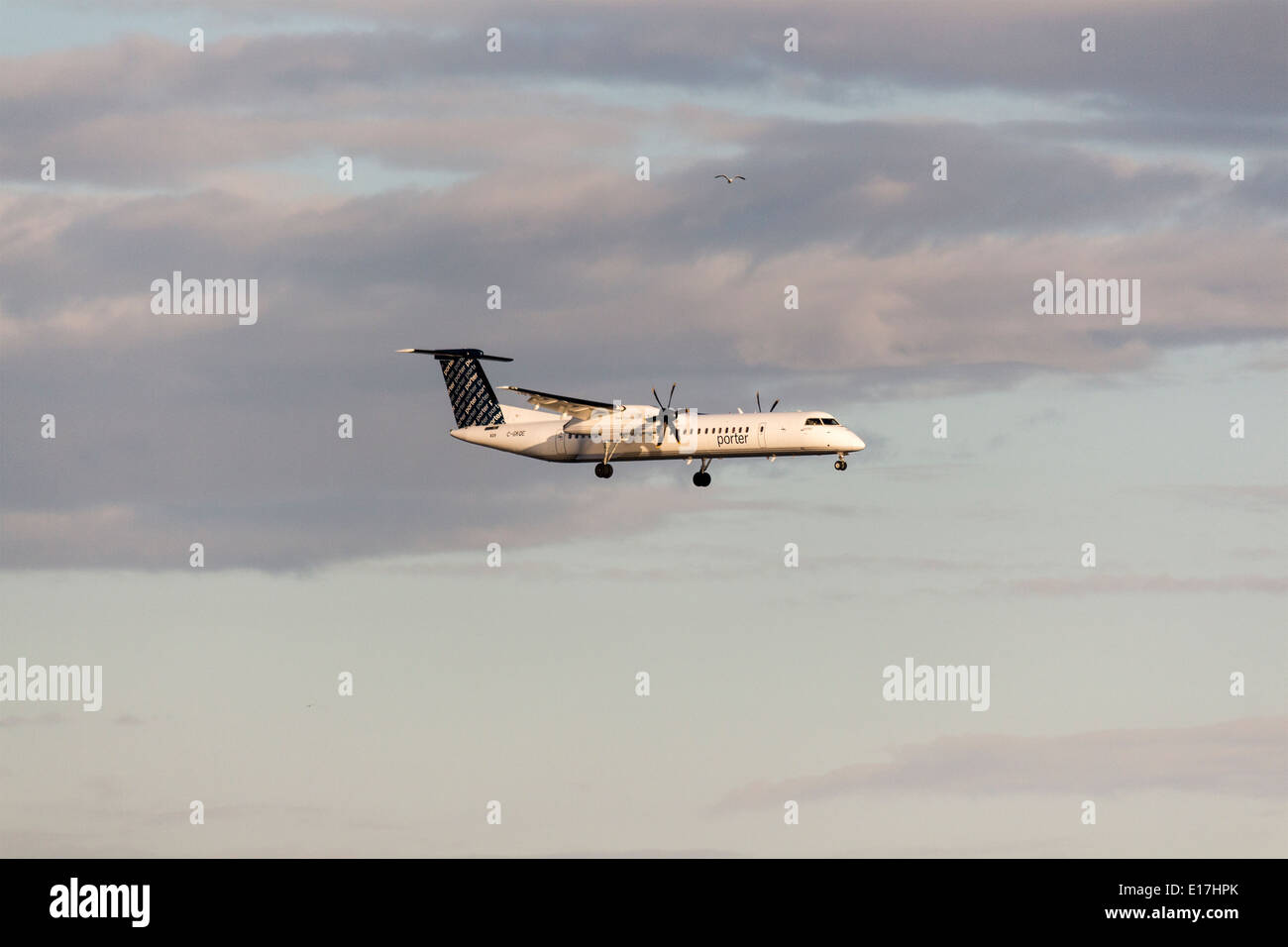 Porter Bombardier Q400 aeromobile a turboelica provenienti da terreni a Billy Bishop Aeroporto su Toronto Islands Foto Stock