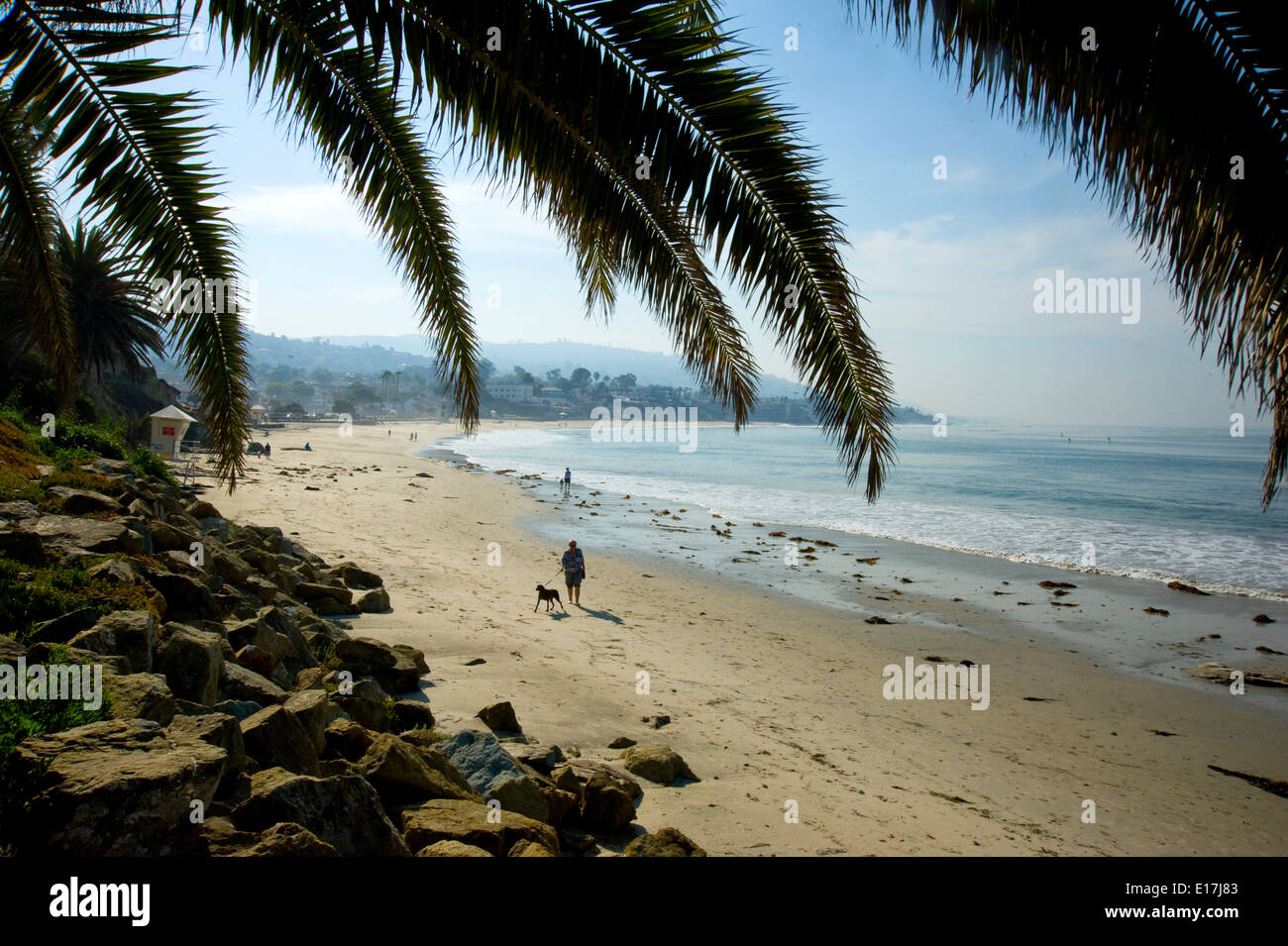 Uomo che cammina cane sulla Laguna Beach a Orange County, California Foto Stock
