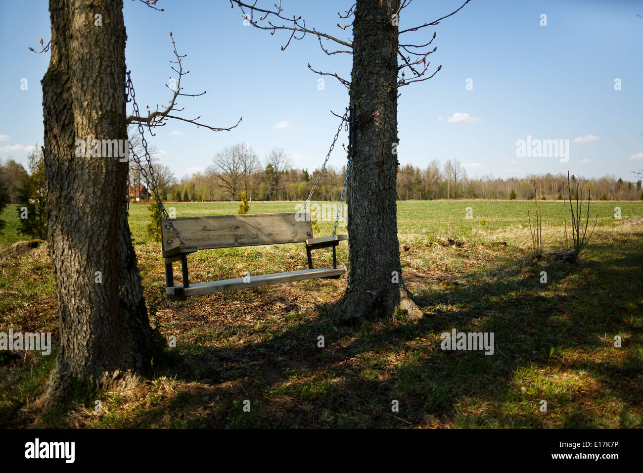 Confortevole oscilla tra due alberi in ombra Foto Stock