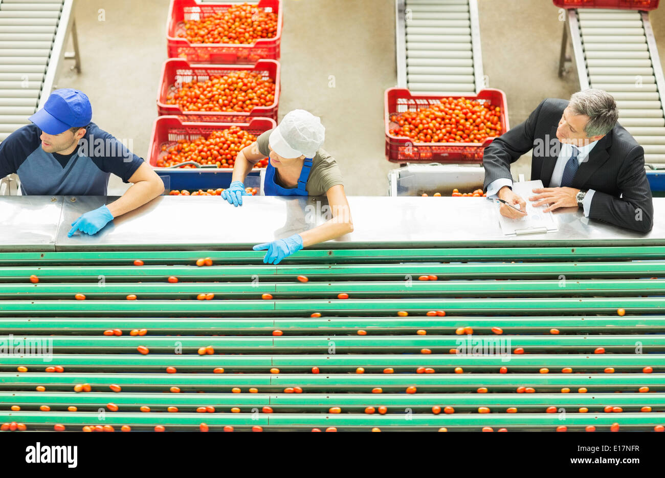 Lavoratori la trasformazione di pomodori in stabilimento di trasformazione alimentare Foto Stock