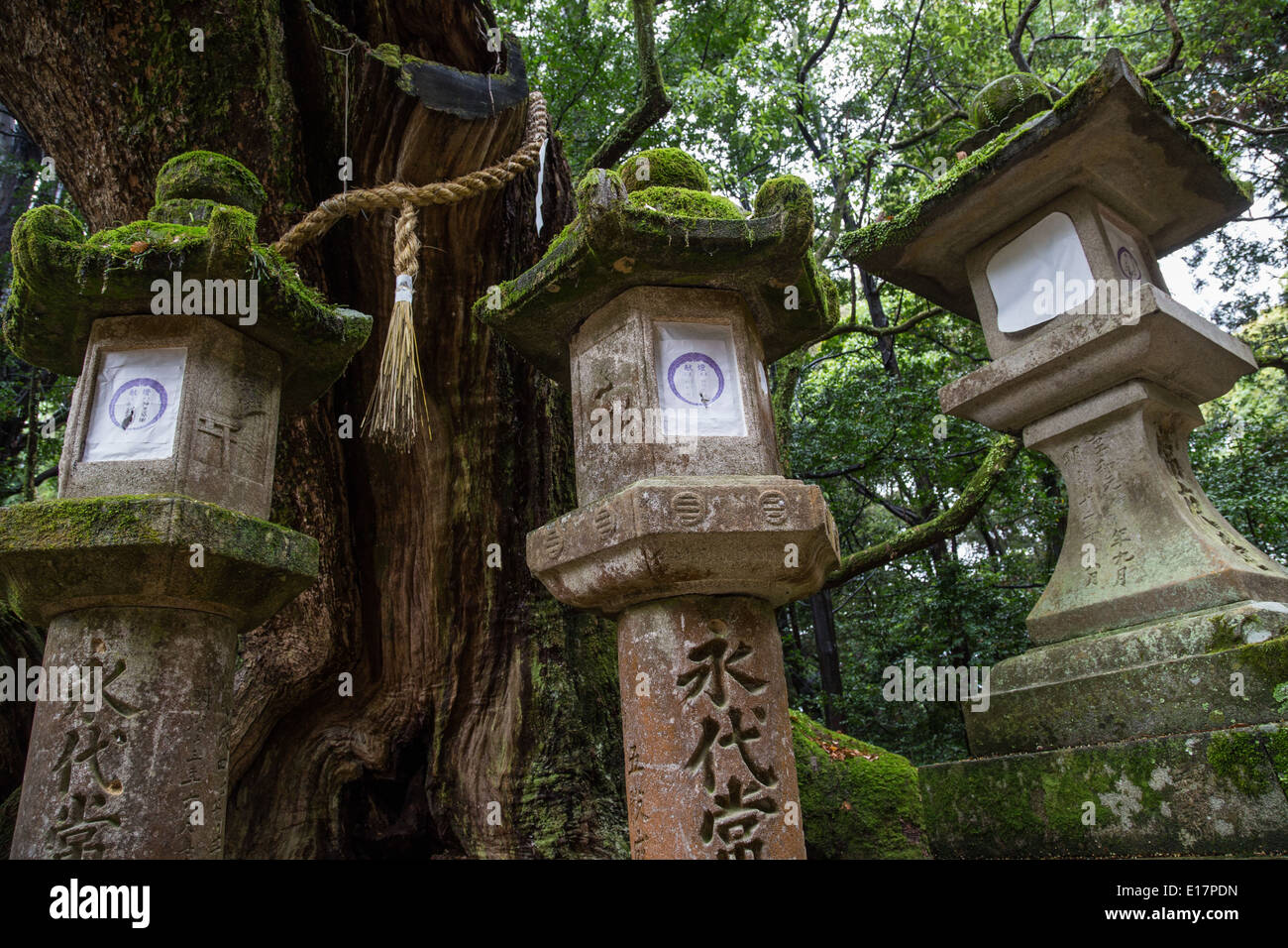 Di Kasuga Taisha è un sacrario scintoista di Nara spesso chiamato Kasuga Grand Santuario. Foto Stock