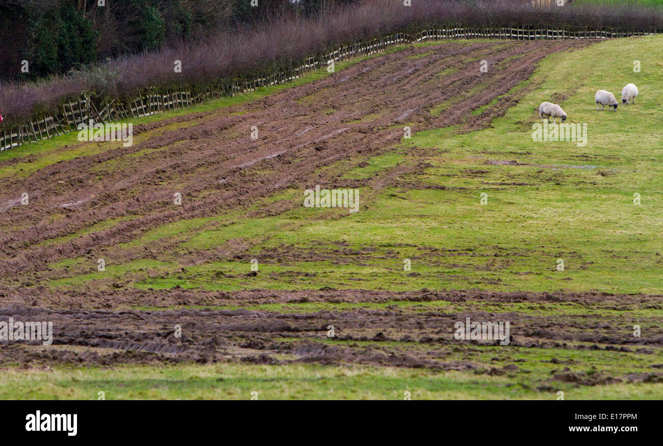 Tracce di pneumatici tessere su terra verde in Worcestershire nel caso in cui i contraenti hanno investigato il terreno per idoneità per costruire case Foto Stock