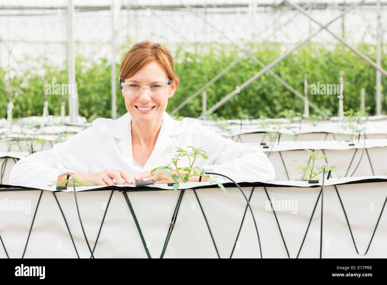 Ritratto di uno scienziato sorridente con piante in serra Foto Stock