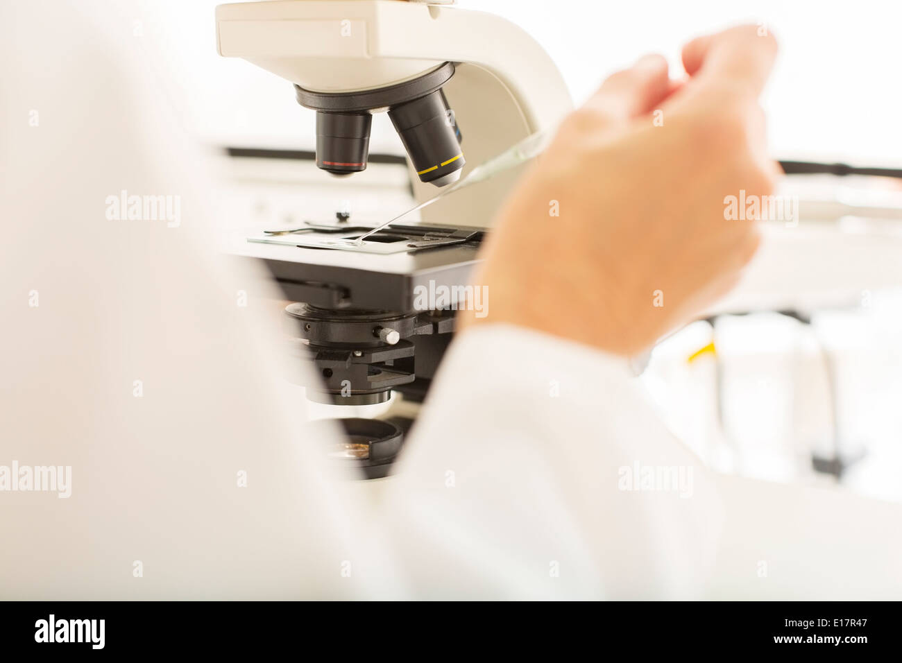 Scienziato usando microscopio in laboratorio Foto Stock