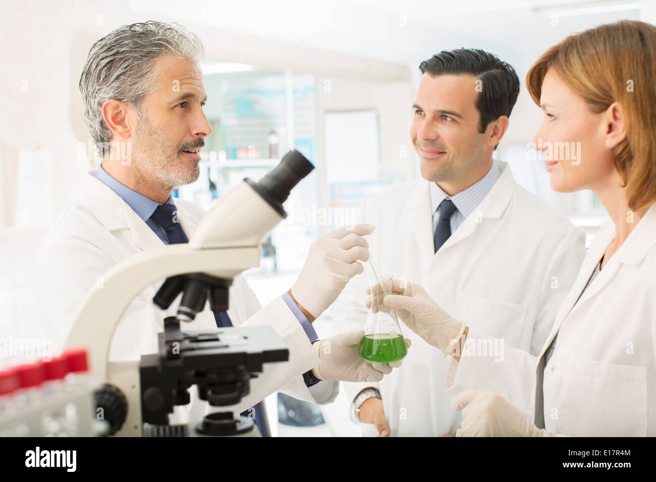 Gli scienziati che lavorano in laboratorio Foto Stock