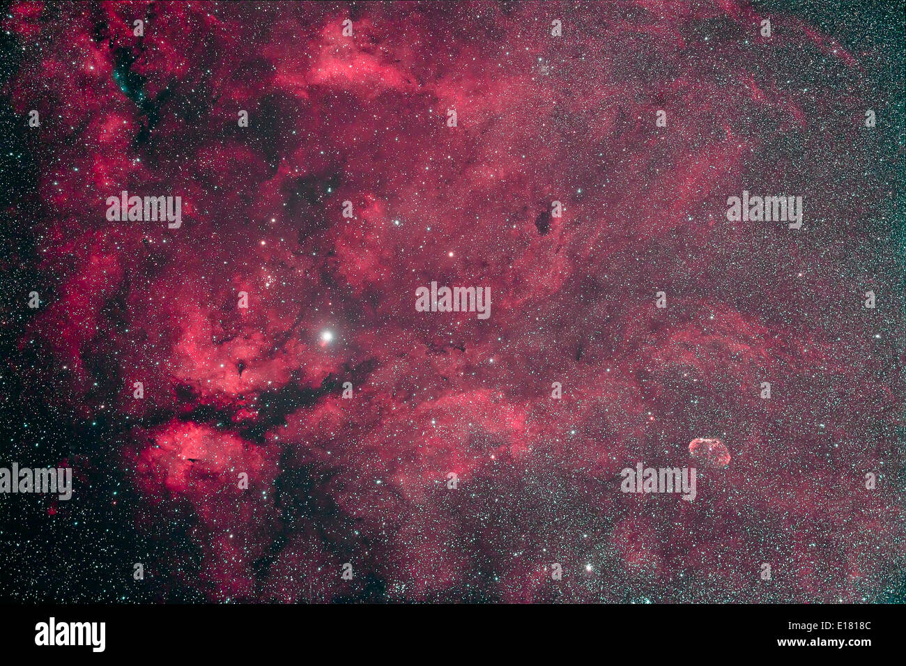 La gamma Cygni nebulosità aka il IC 1318 complessa, più il Crescent Nebula, NGC 6888 a destra nel centro di Cygnus, presa su un super Foto Stock