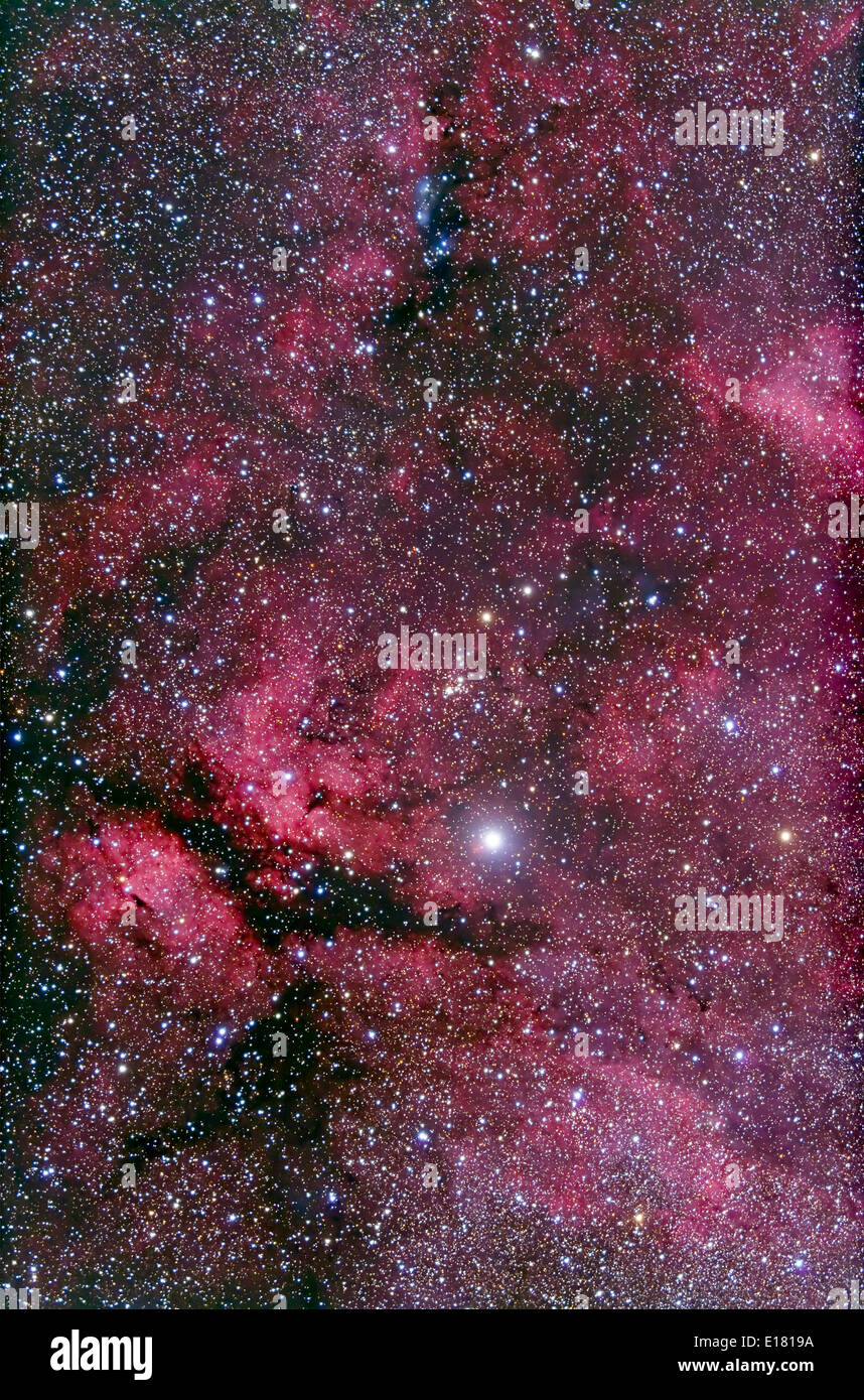IC 1318 area di Cygnus intorno a Gamma Cygni. Pila di 4 x 15 minuti di esposizione su di una splendida notte, con TMB 92mm apo con Canon 5D MK Foto Stock