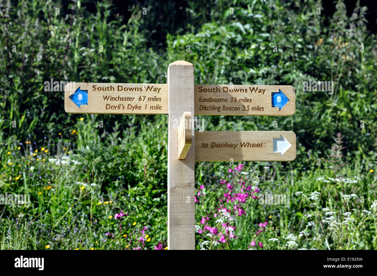 Nuova (al 2014) direzione di legno segno sulla South Downs Way al Saddlescombe, West Sussex. Foto Stock