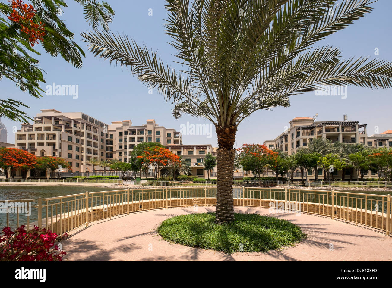 Moderno appartamento edifici residenziali Verdi lo sviluppo di proprietà in Dubai Emirati Arabi Uniti Foto Stock