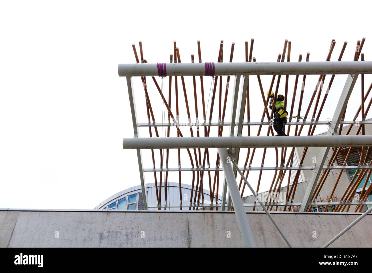 Operai mantenendo edificio del parlamento scozzese Foto Stock