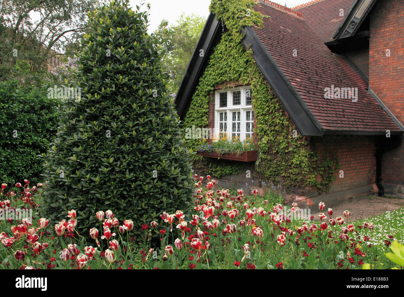 Irlanda, Dublino, St Stephen's Green, parco, giardino, Foto Stock