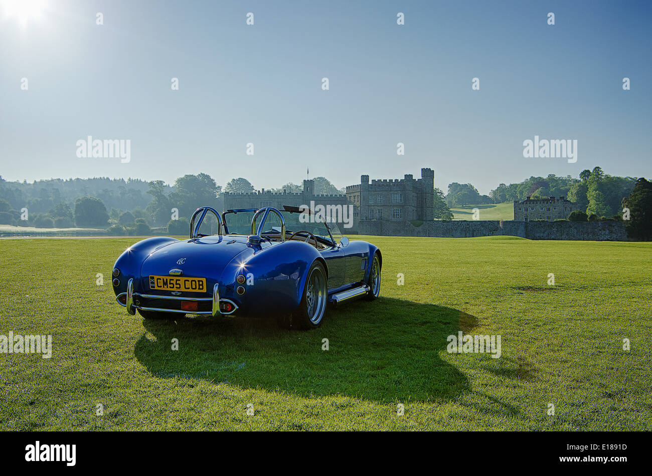 Cobra in un campo di prima mattina con un castello in background. Foto Stock
