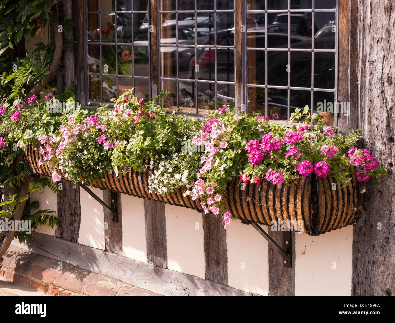 Finestre in vetro piombato e window box con fiori sulla vecchia quercia casa incorniciate, Lavenham, Suffolk, Inghilterra, Regno Unito Foto Stock