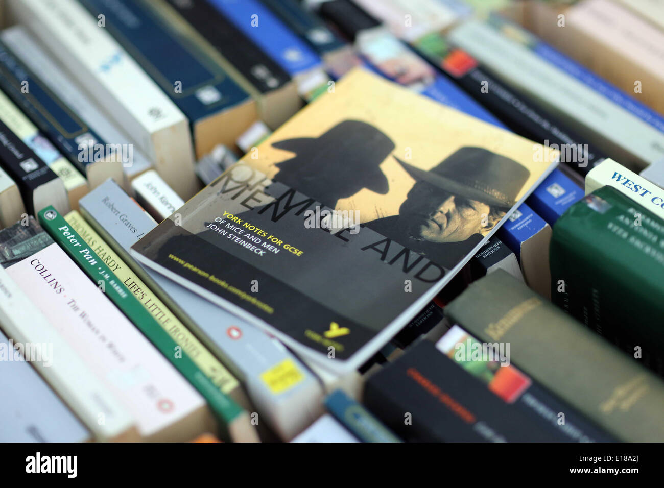 Hay on Wye, Regno Unito. 26 Maggio, 2014. Nella foto: il York note per il GCSE di "Uomini e topi' book redatto da John Steinbeck, un libro che il Ministro dell'istruzione Michael Gove ha deciso di togliere dal Ciriculum. Re: Il Festival di fieno, Hay on Wye, Powys, Wales UK. Credito: D Legakis/Alamy Live News Foto Stock