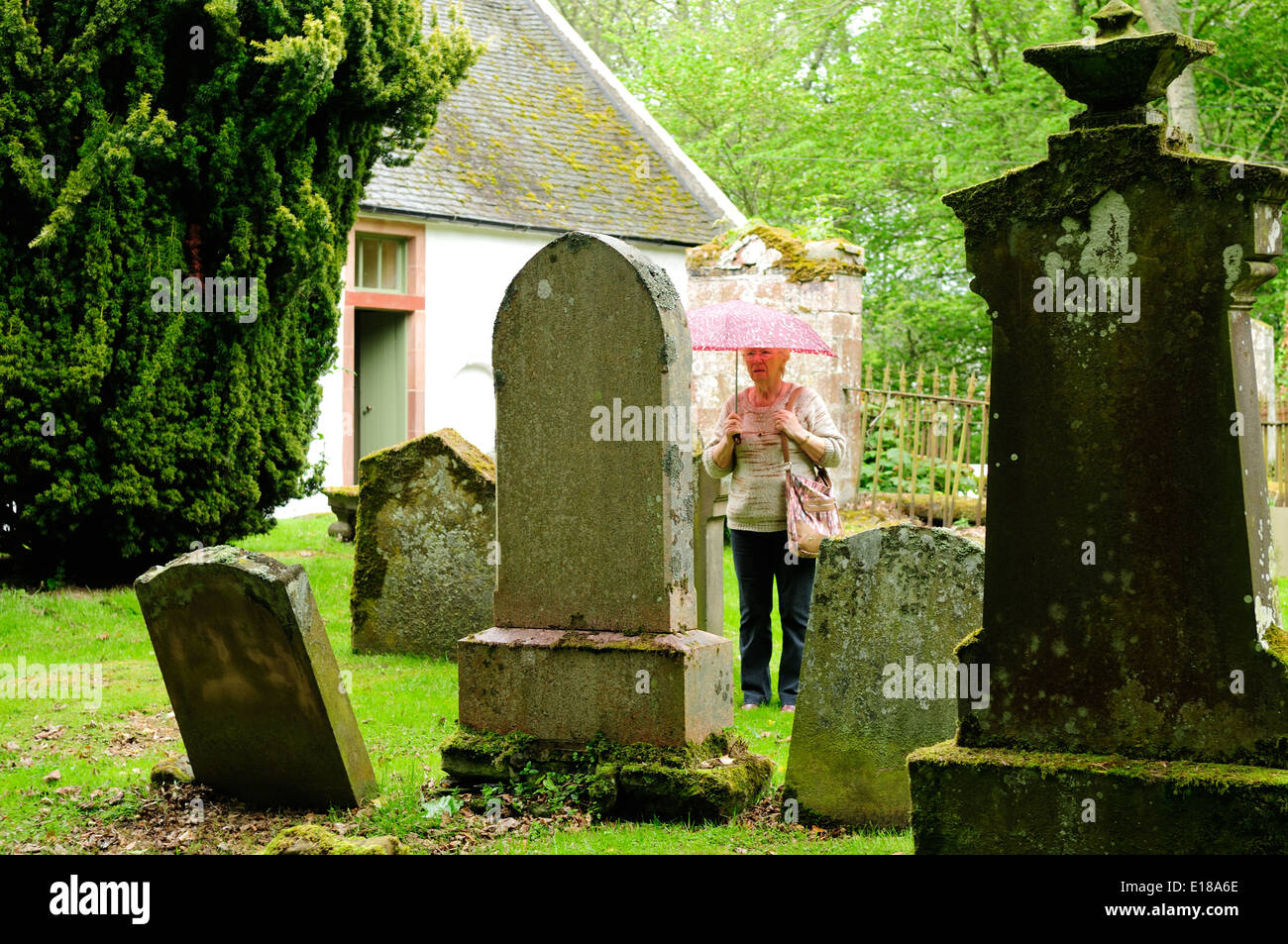 La Nigg Cross-Slab Pietra e Chiesa ,Pasqua -Ross in Scozia. Foto Stock