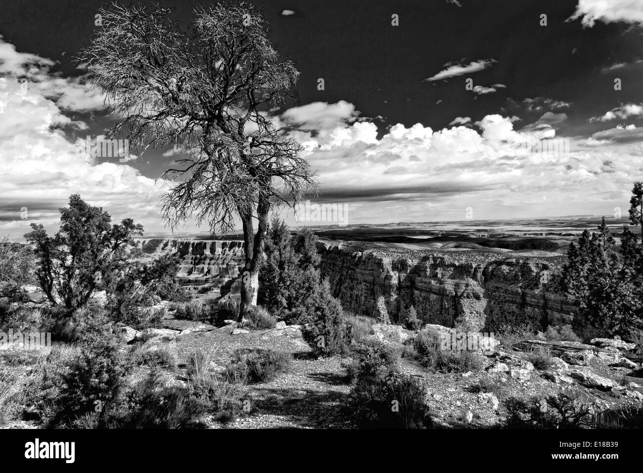 USA il Grand Canyon Arizona South Rim vista in bianco e nero classico paesaggio Foto Stock